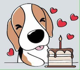 beagle, tort i serduszka.jpg